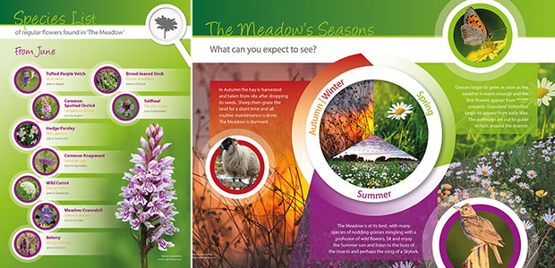 Colton Local Nature Reserve - The Meadow's seasons
