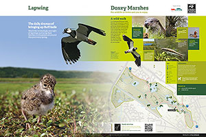 Interpretation board theme – Staffordshire Wildlife Trust